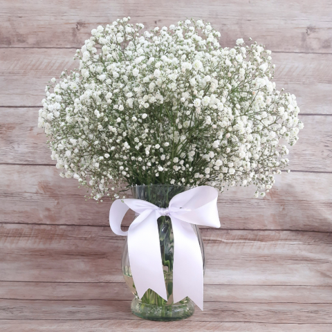 Arranjo de Mosquitinho (Gypsophila) no Vaso de Vidro 